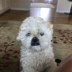 Meet your Posher, Jackie